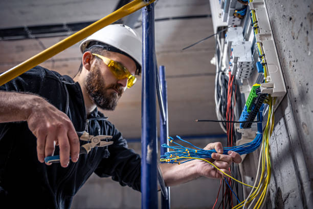 Best Electric Panel Repair  in Litchfield, MI