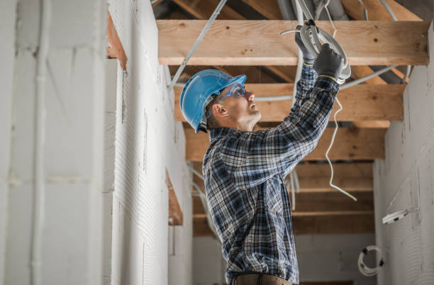 Best Electrical Upgrades for Homes  in Litchfield, MI