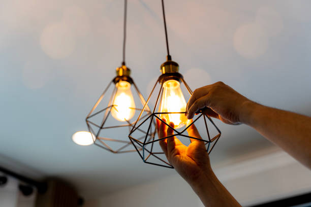 Best Outdoor Lighting Installation  in Litchfield, MI