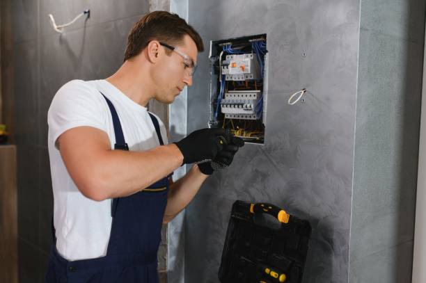 Best Home Electrical Repair  in Litchfield, MI