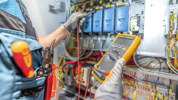 Best Generator Installation Services  in Litchfield, MI