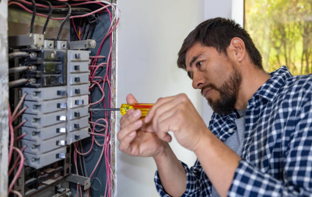 Best Affordable Electrician  in Litchfield, MI